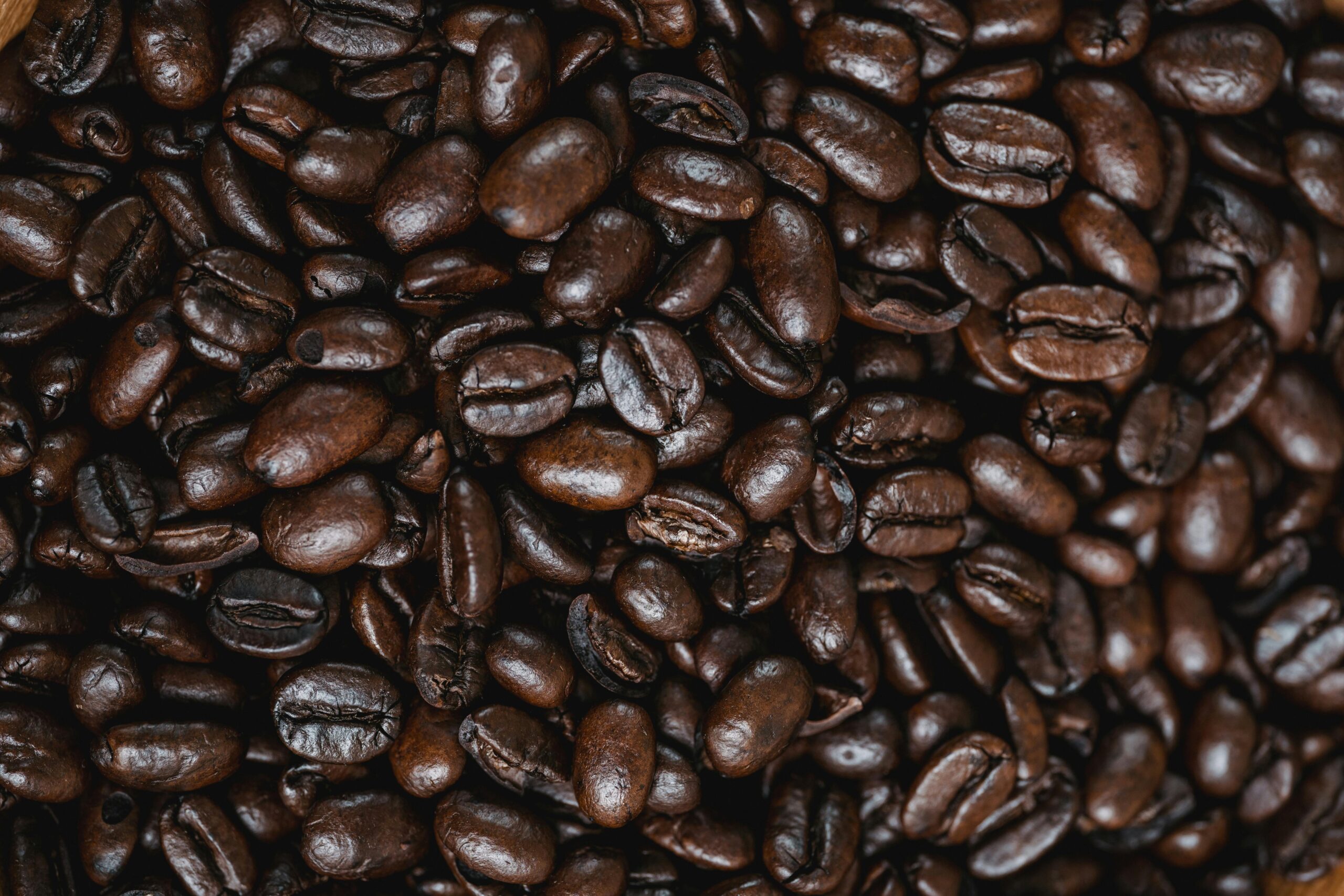 Close-up of dark roasted coffee beans, perfect for background or texture use.